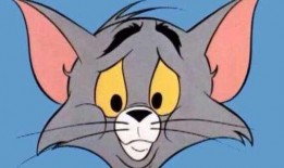 猫鼠天使汤姆爆料视频,视频爆料背后的惊人真相