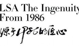2017无毒在线观看,揭秘无毒生活的魅力与挑战